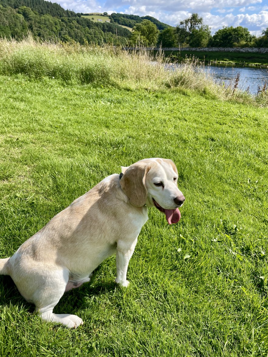 ED84FA3C-C206-4287-A04F-4947BCEB9ADB_1_201_a.jpeg ED84FA3C-C206-4287-A04F-4947BCEB9ADB_1_201_a.jpeg