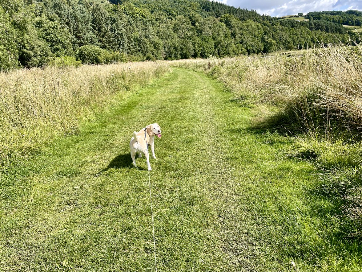 08F66DE3-7B8F-4762-AB4F-CC1DC0A9AB53_1_201_a.jpeg 08F66DE3-7B8F-4762-AB4F-CC1DC0A9AB53_1_201_a.jpeg