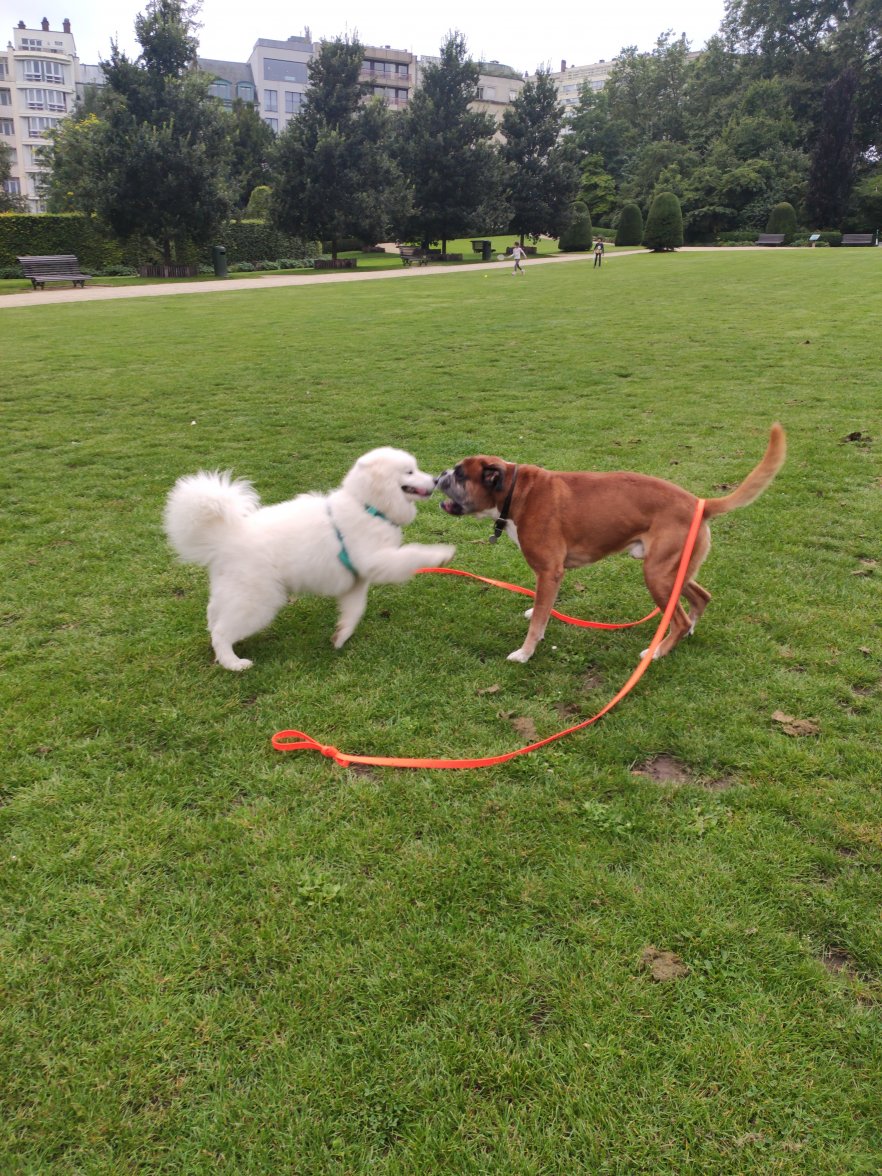 IMG_20210818_191803.jpg IMG_20210818_191803.jpg