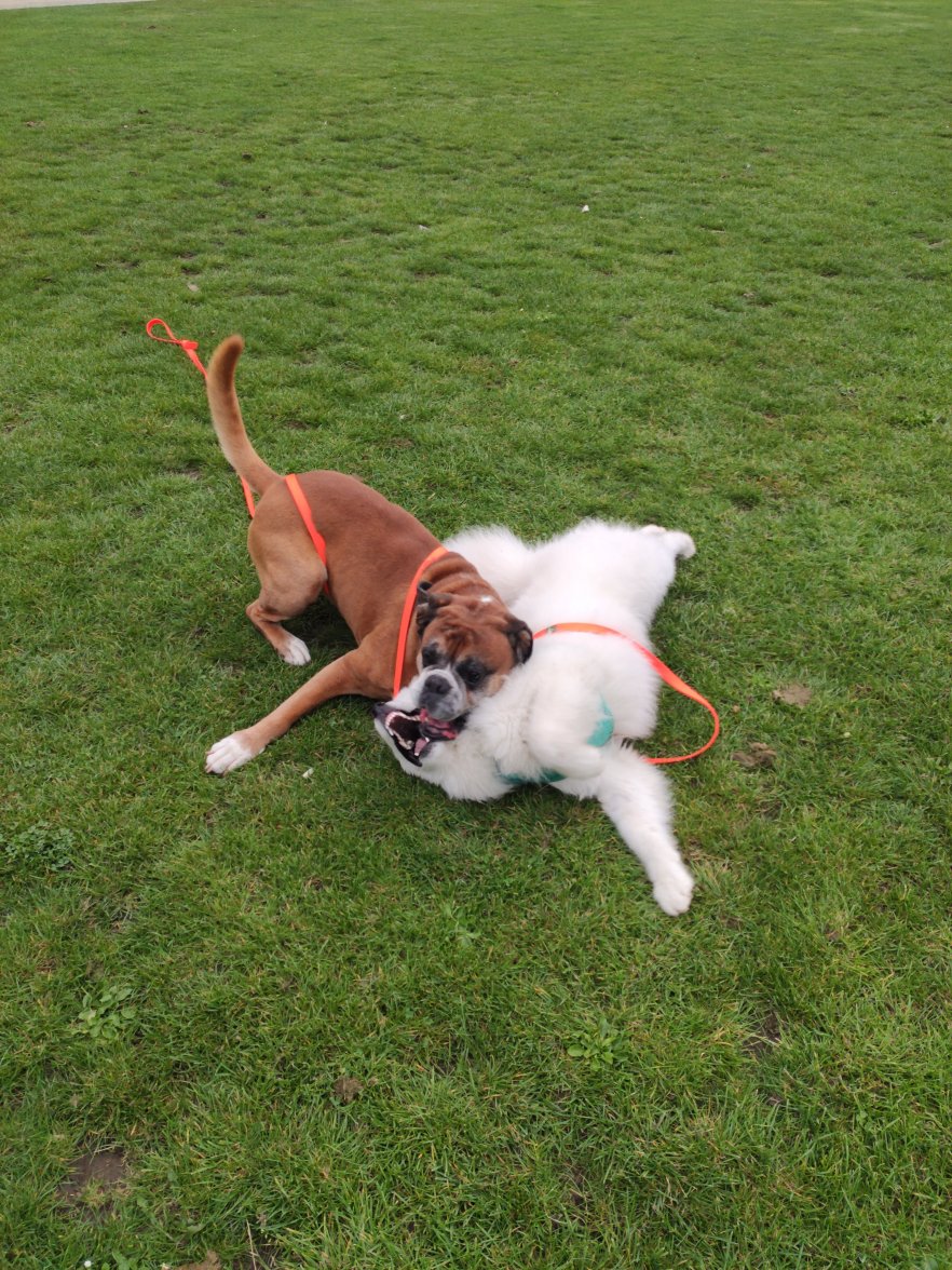 IMG_20210818_191745.jpg IMG_20210818_191745.jpg