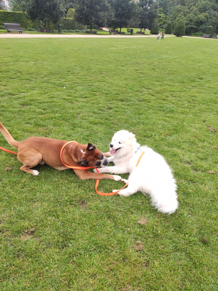 IMG_20210818_191736.jpg IMG_20210818_191736.jpg