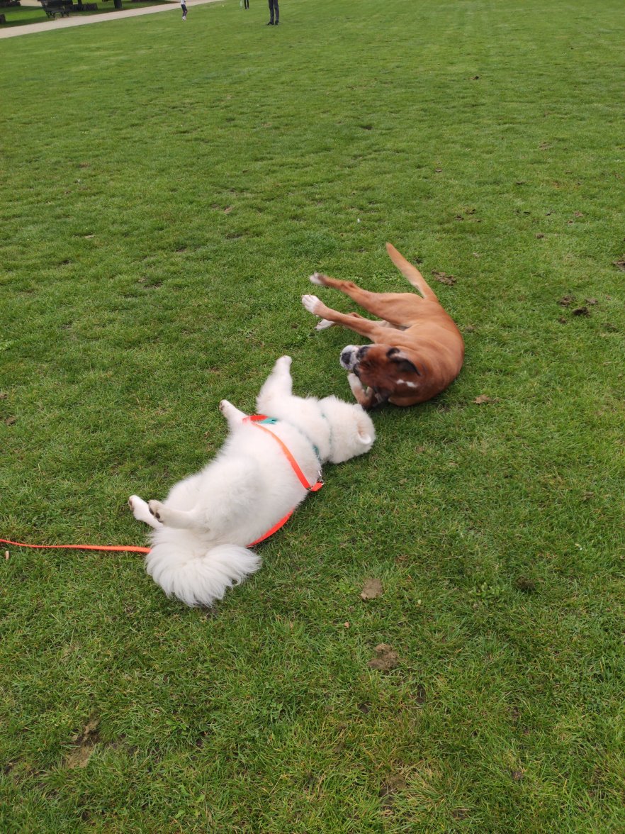 IMG_20210818_191720.jpg IMG_20210818_191720.jpg