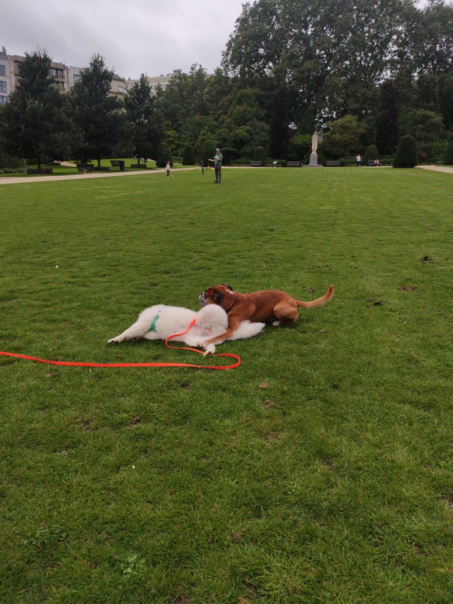 IMG_20210818_191712.jpg IMG_20210818_191712.jpg