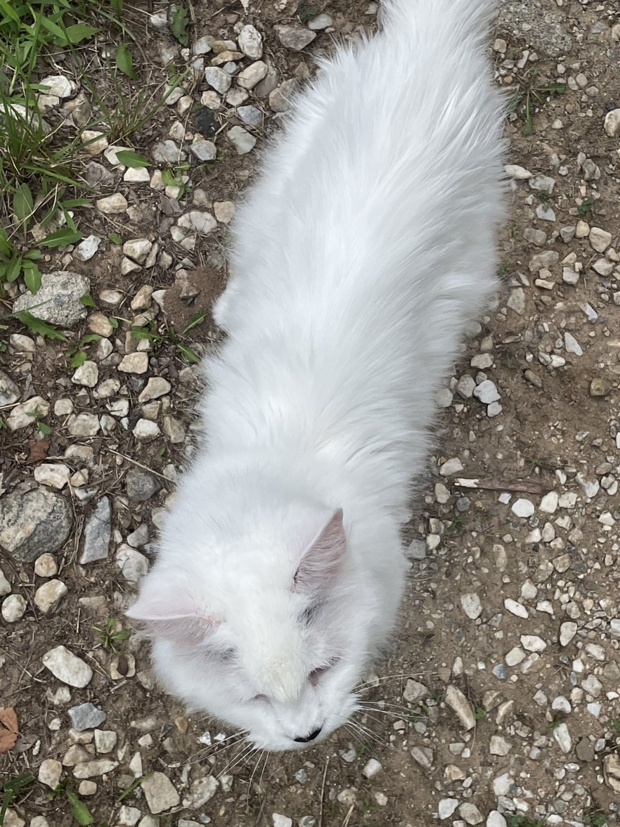 B5EE6590-1093-45E3-B4C8-9F4A760194C0.jpeg B5EE6590-1093-45E3-B4C8-9F4A760194C0.jpeg