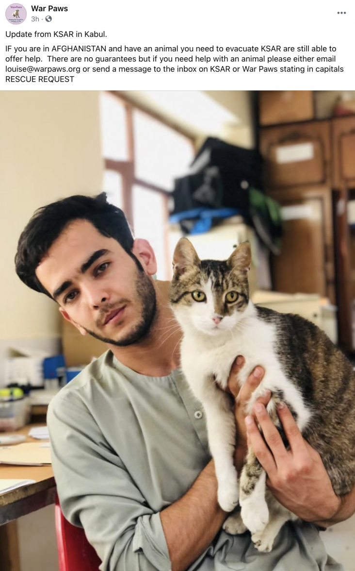 Screenshot 2021-08-19 at 10.52.20.png Screenshot 2021-08-19 at 10.52.20.png