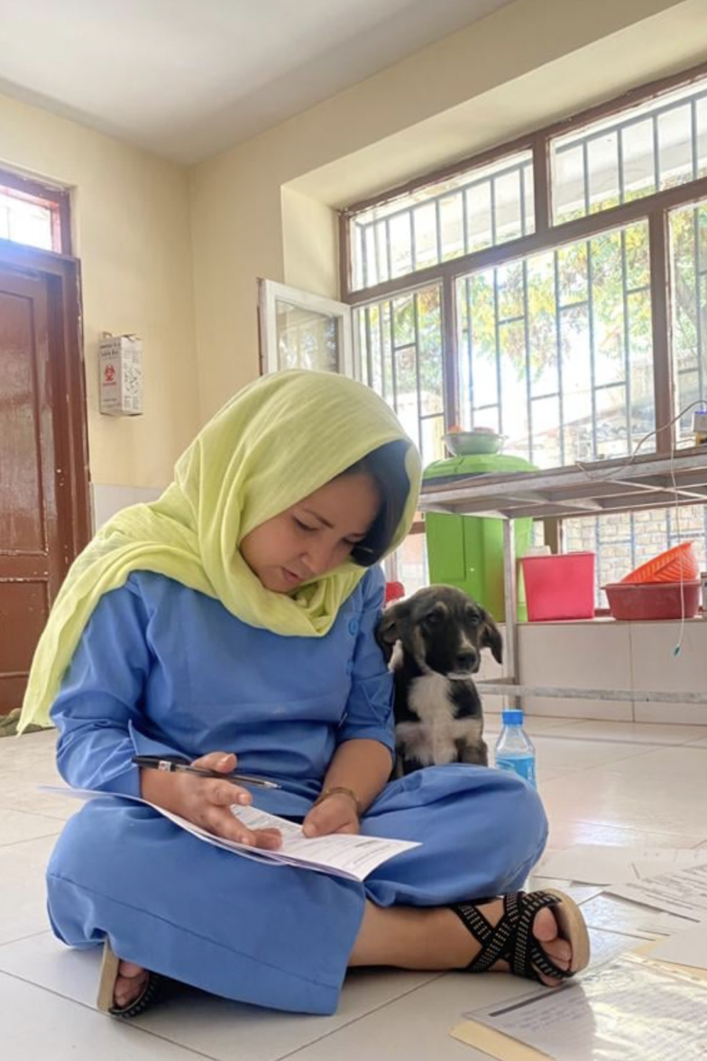 Screenshot 2021-08-19 at 10.47.32.png Screenshot 2021-08-19 at 10.47.32.png