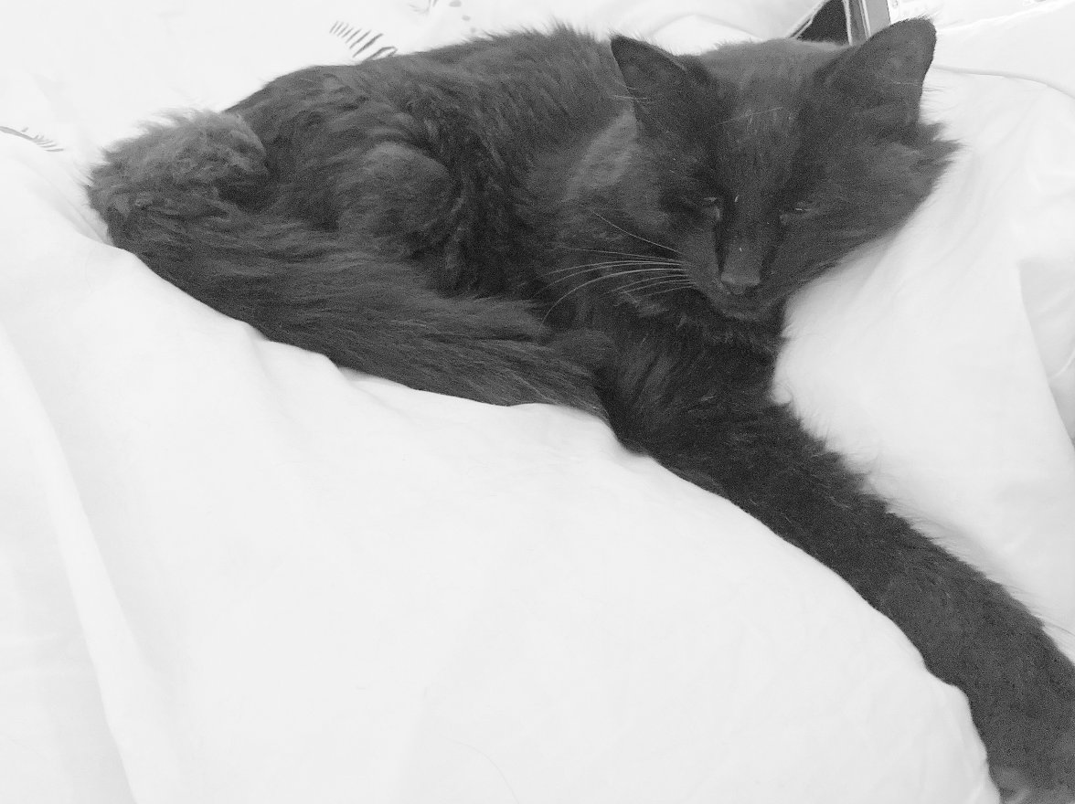 Bed Time BW - Copy.jpg