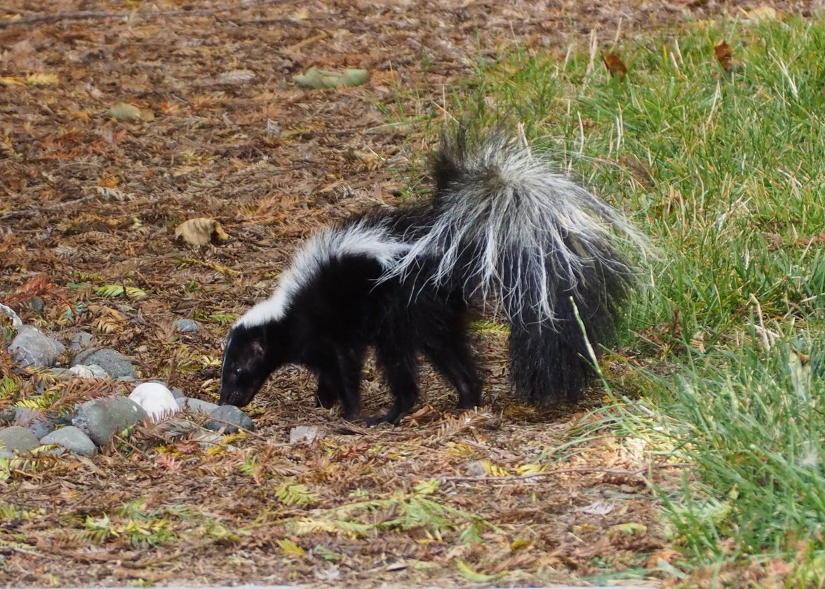 P8191408.JPG P8191408.JPG