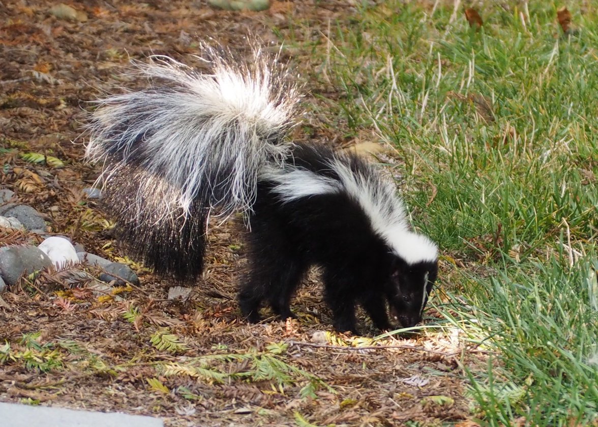 P8191406.JPG P8191406.JPG