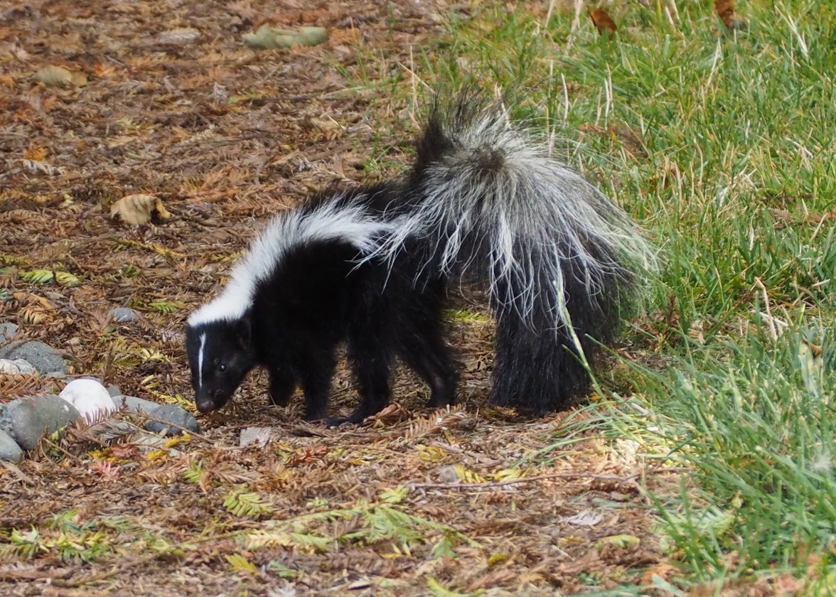 P8191409.JPG P8191409.JPG