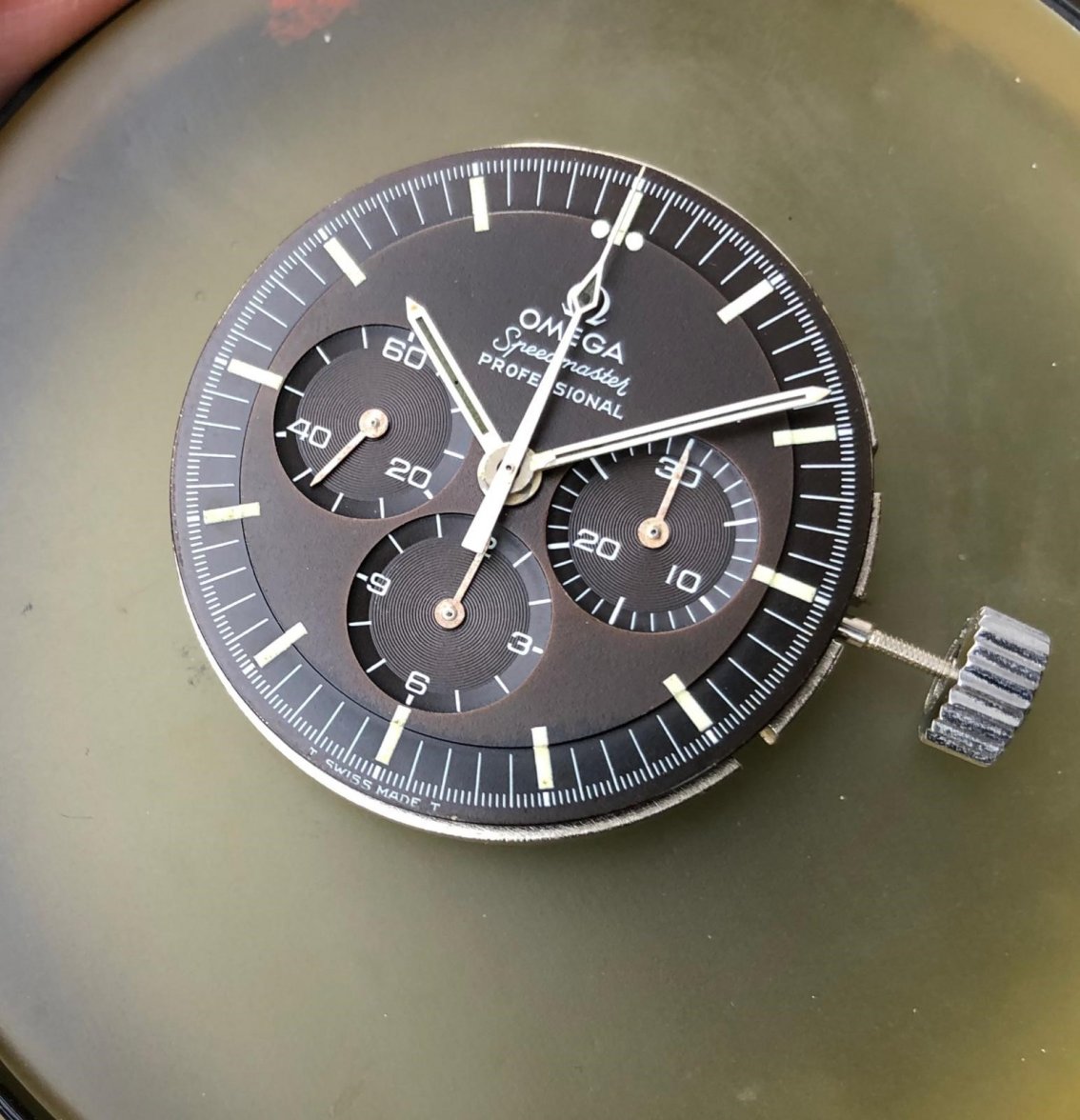 speedy5.jpg speedy5.jpg