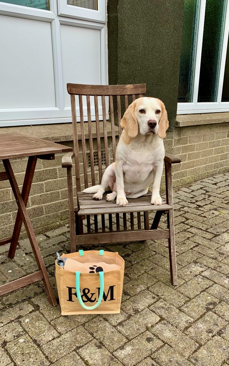 IMG_2987.jpeg IMG_2987.jpeg