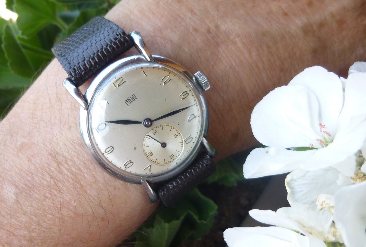 arsa fancy lugs (12).JPG