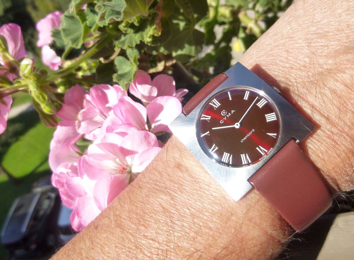 cyma chambord (13).JPG