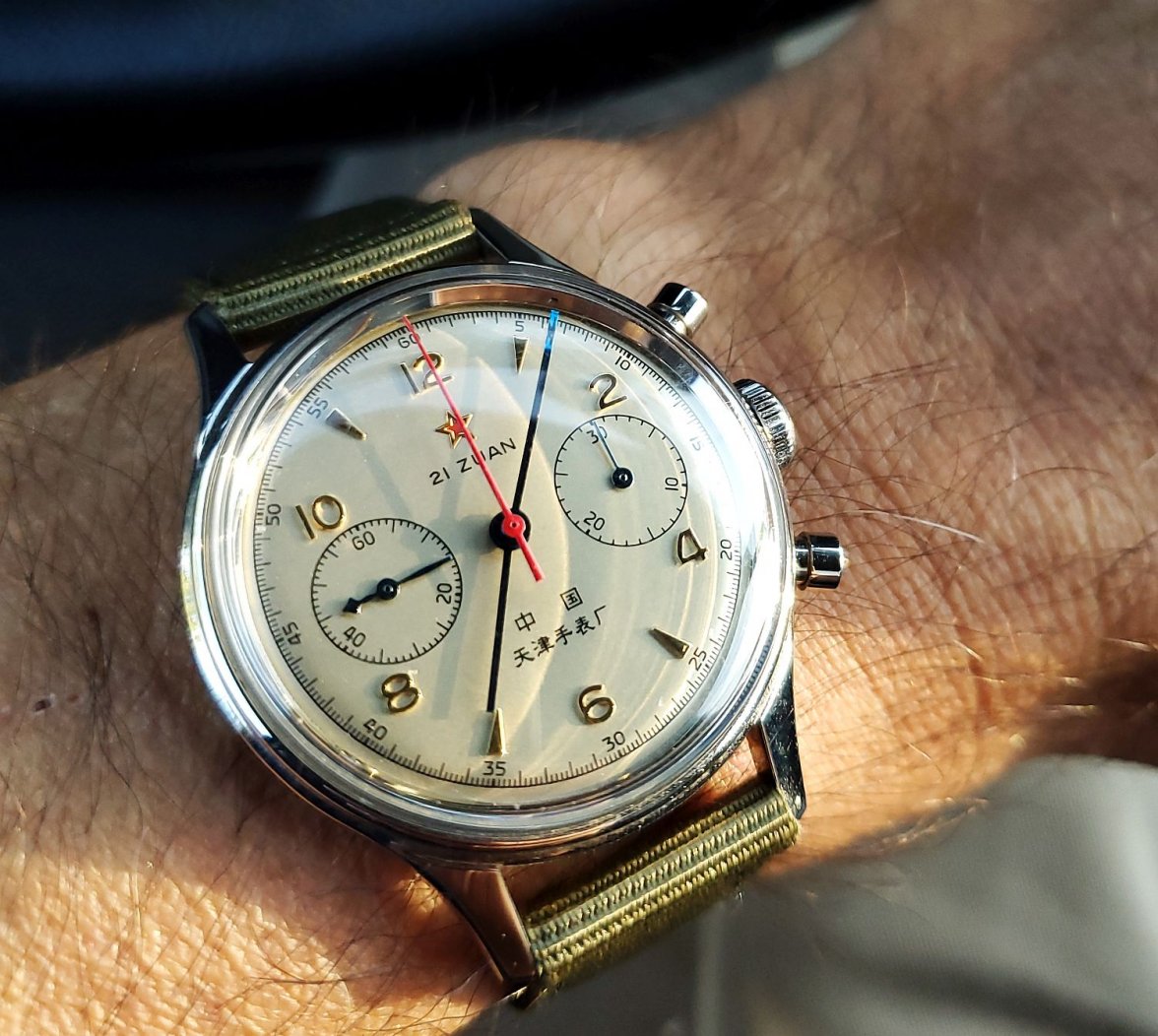 Seagull ws 2 20210825_070526.jpg