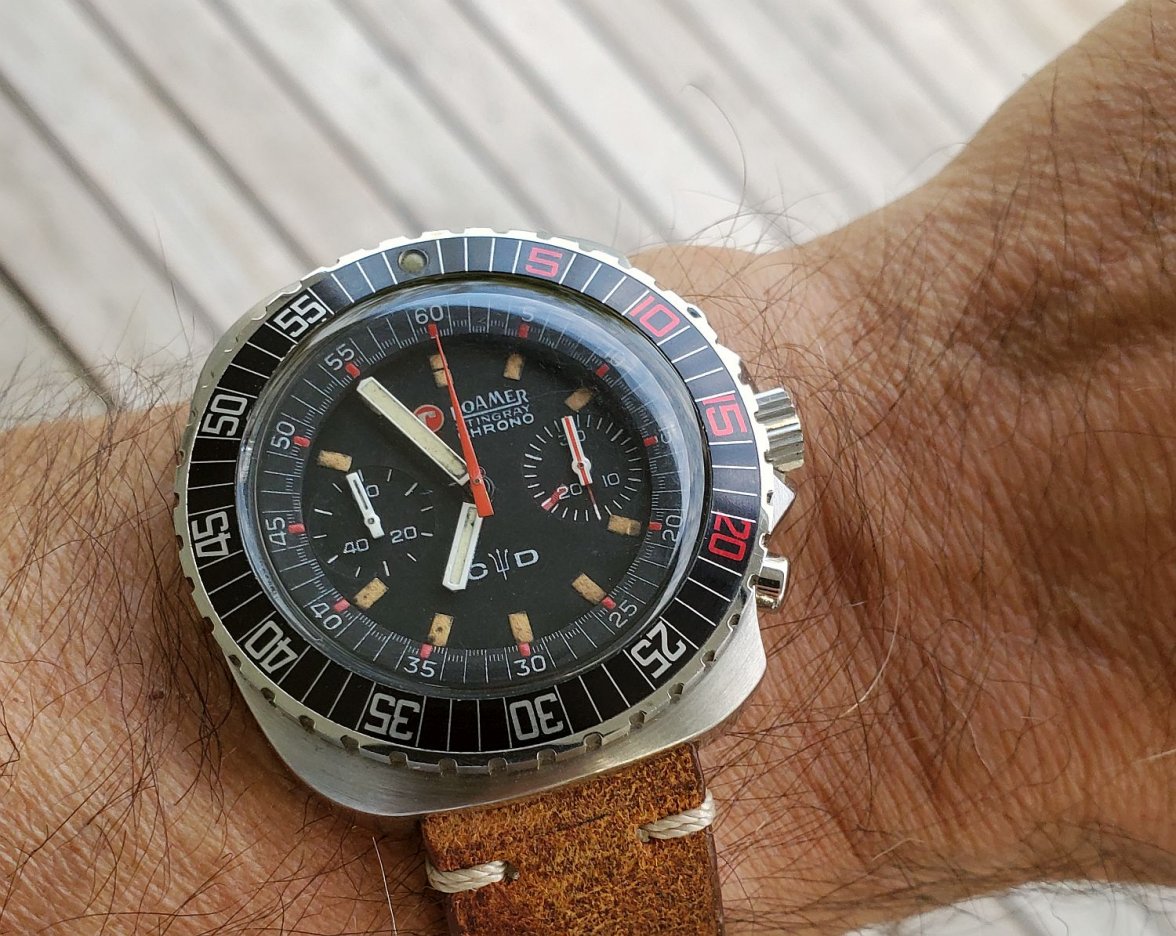 Roamer ws 2 20210827_065459.jpg