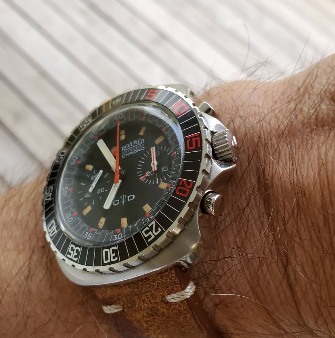 Roamer ws 3 20210827_065507.jpg