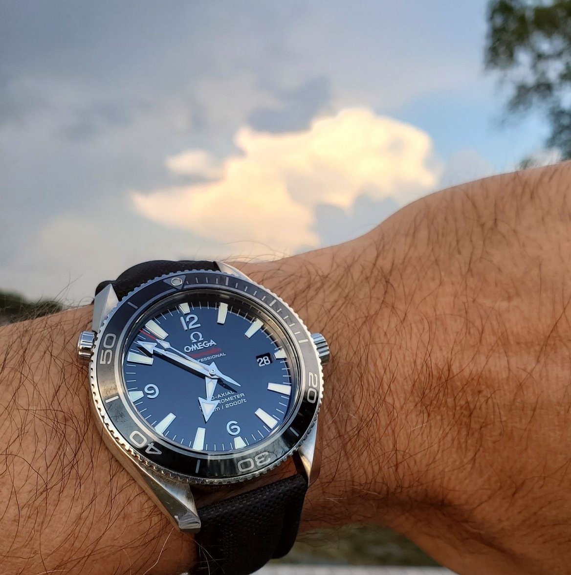 POLM ws 3 20210828_185222.jpg