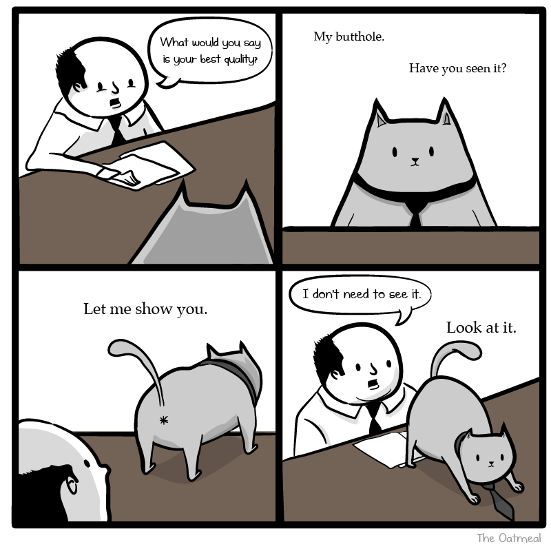 cat_interview.png