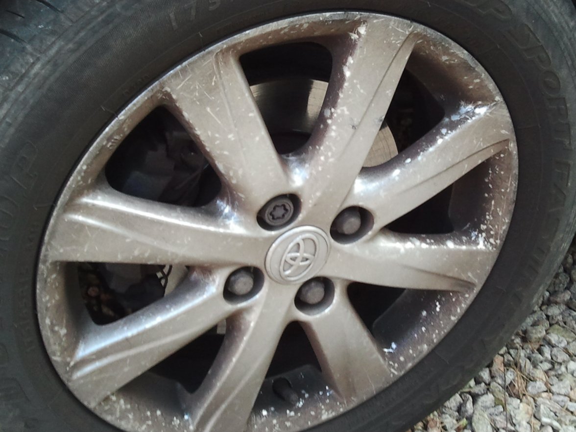 2015-05-21 16.46.19.jpg