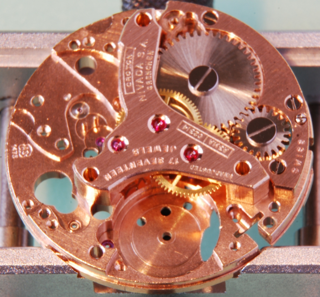 Plate3.jpg Plate3.jpg