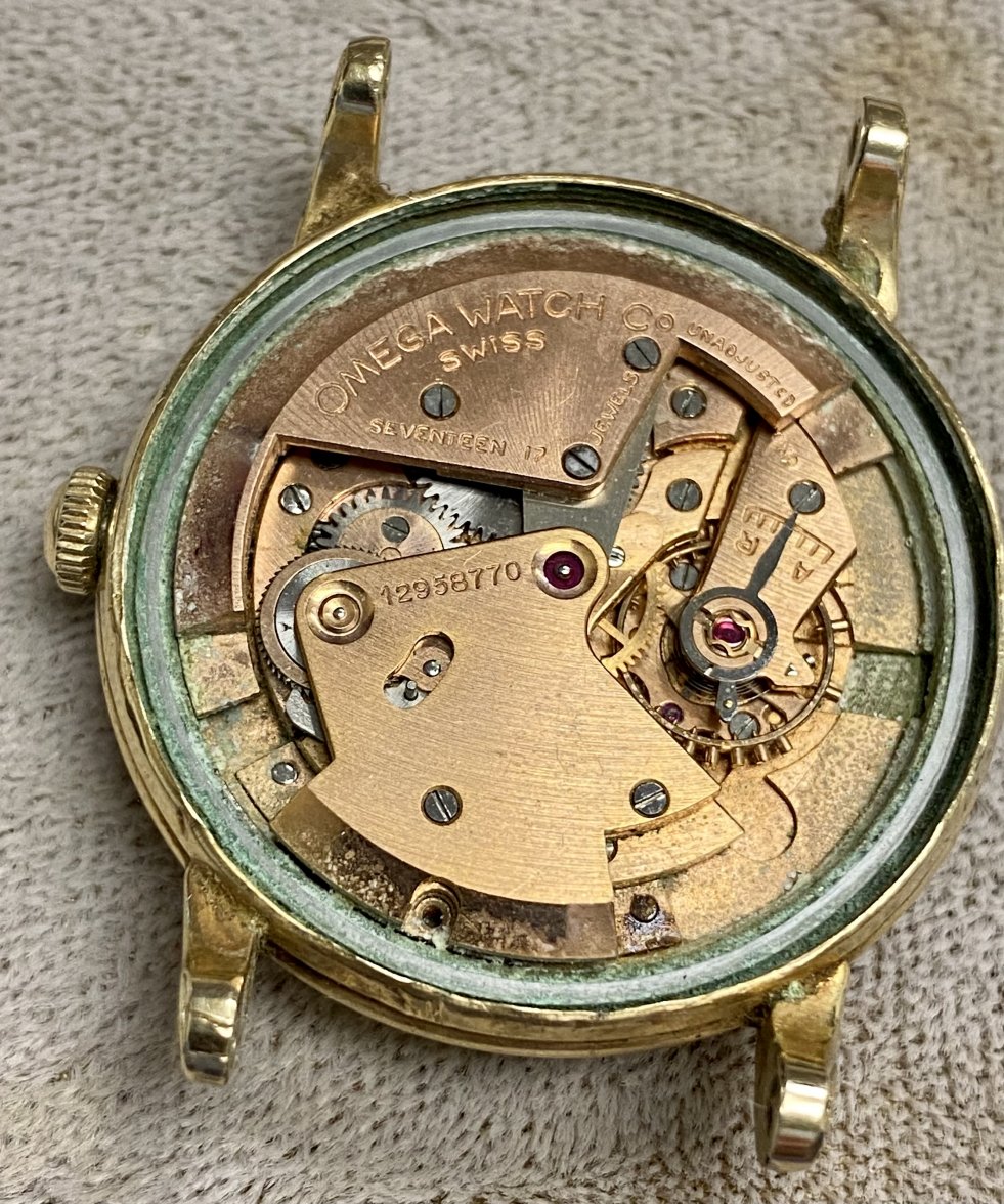 81717469-E147-4ED1-A2CD-D0D339F0E552.jpeg 81717469-E147-4ED1-A2CD-D0D339F0E552.jpeg