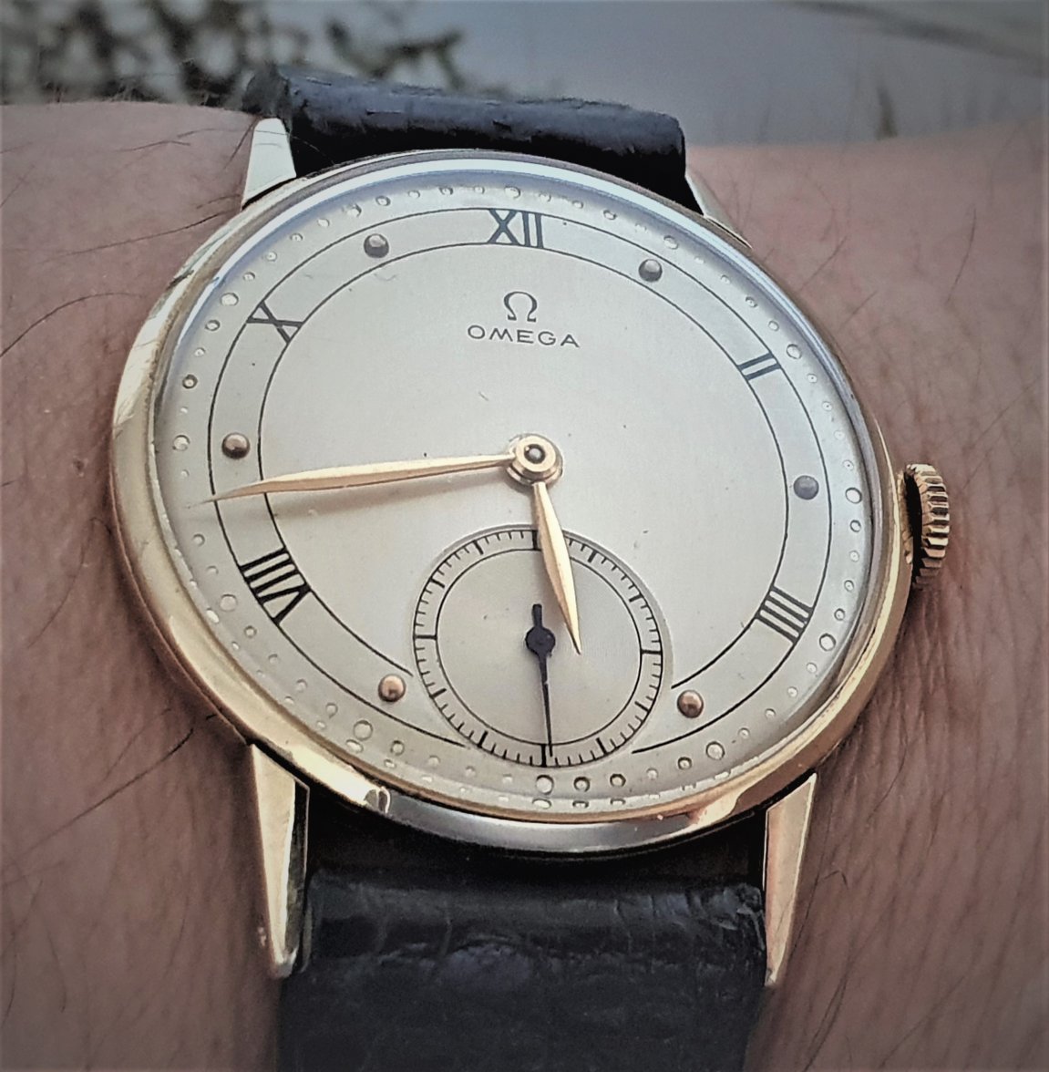 20210902_182949 (2).jpg