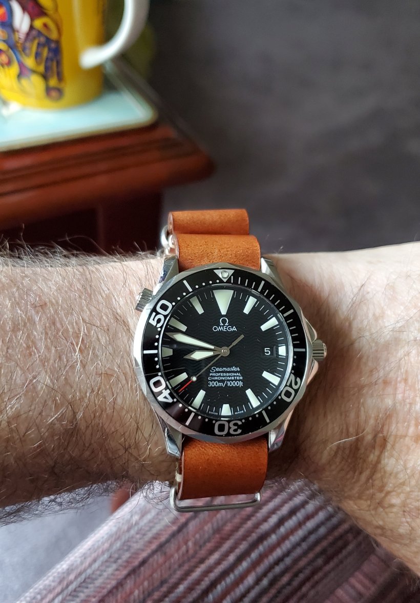 20210905_084741.jpg 20210905_084741.jpg