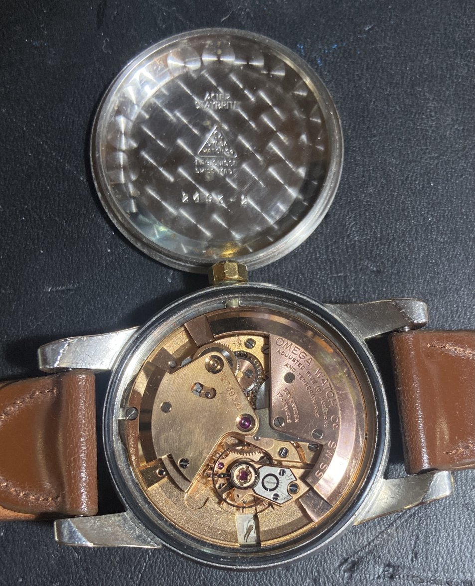 C526224D-F92F-4D30-AF59-D6AE4355928C.jpeg C526224D-F92F-4D30-AF59-D6AE4355928C.jpeg