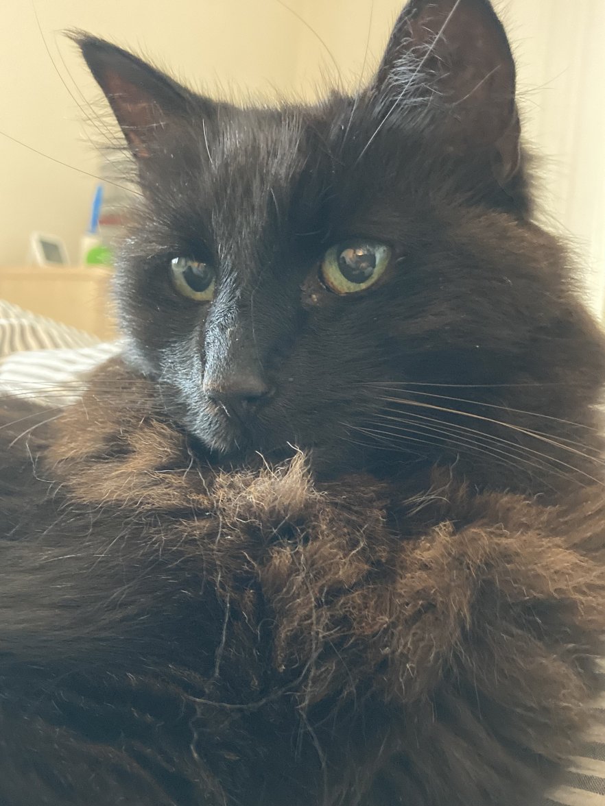 Looking fine - Copy.JPG