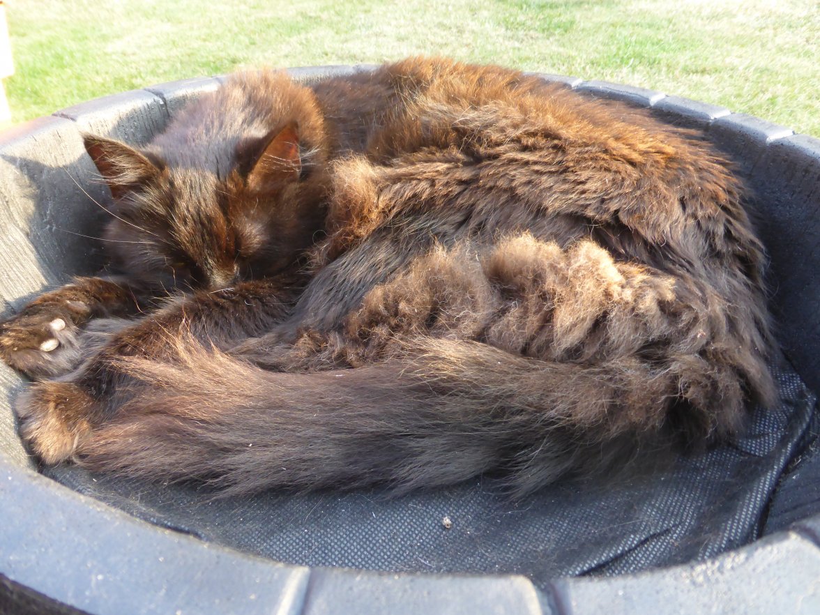 Low profile - Copy.JPG