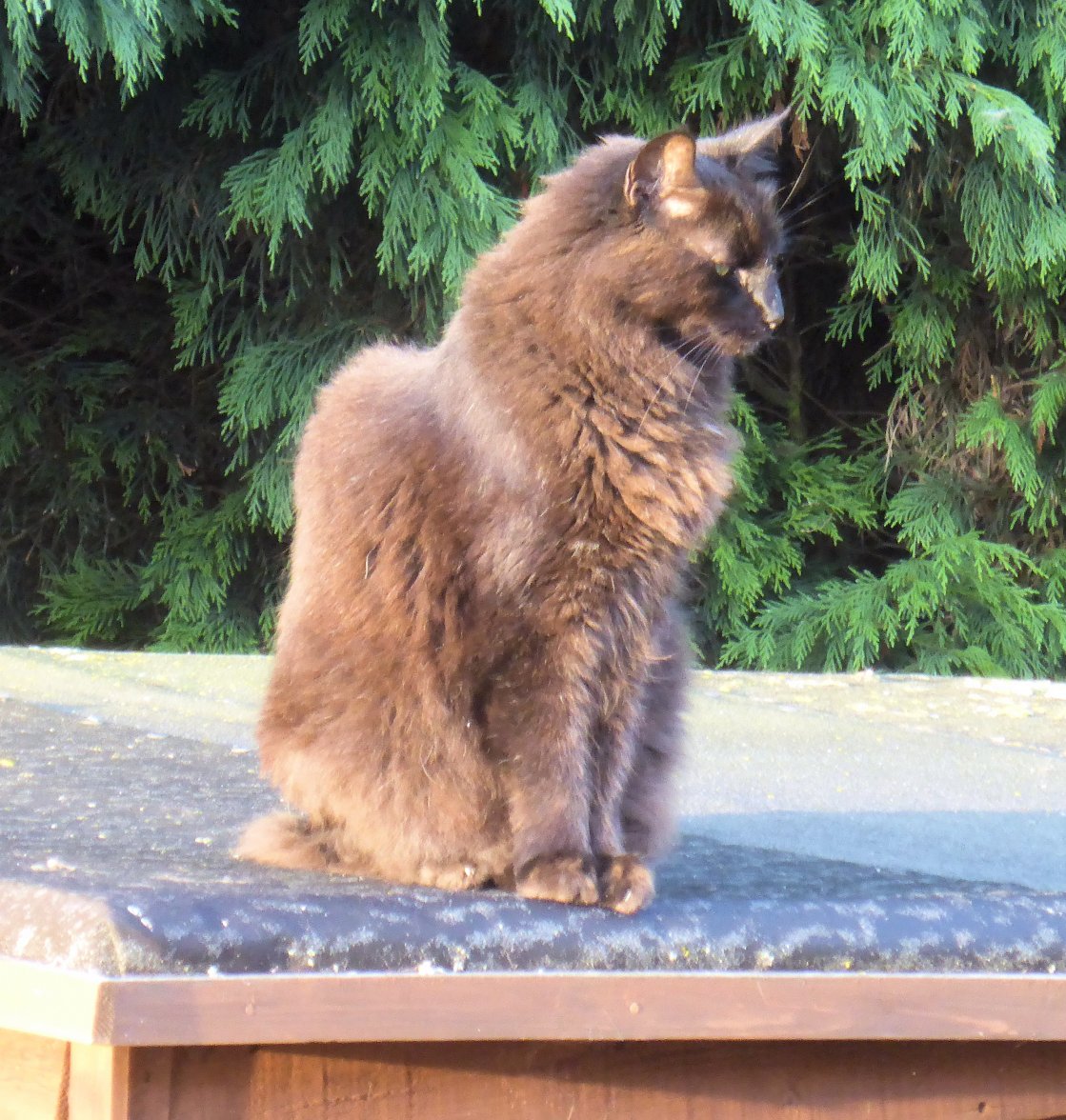 Shed 7 - Copy (2).jpg