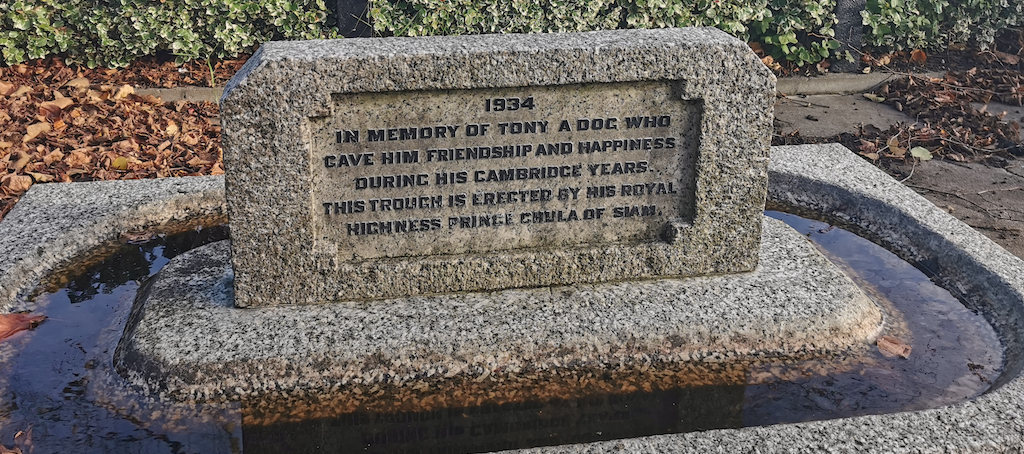 Screenshot-2020-11-21-at-13.39.40.jpg Screenshot-2020-11-21-at-13.39.40.jpg