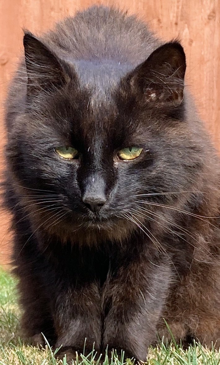 String me along  - Copy.jpg