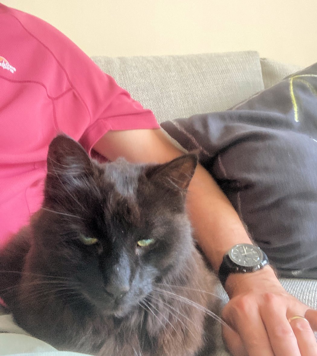 couch potato - Copy.jpg