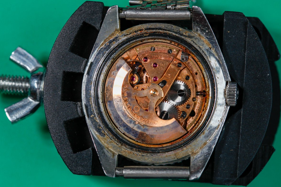 _MG_5270.jpg _MG_5270.jpg