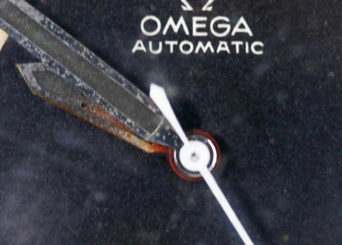 _MG_5281-6.jpg _MG_5281-6.jpg