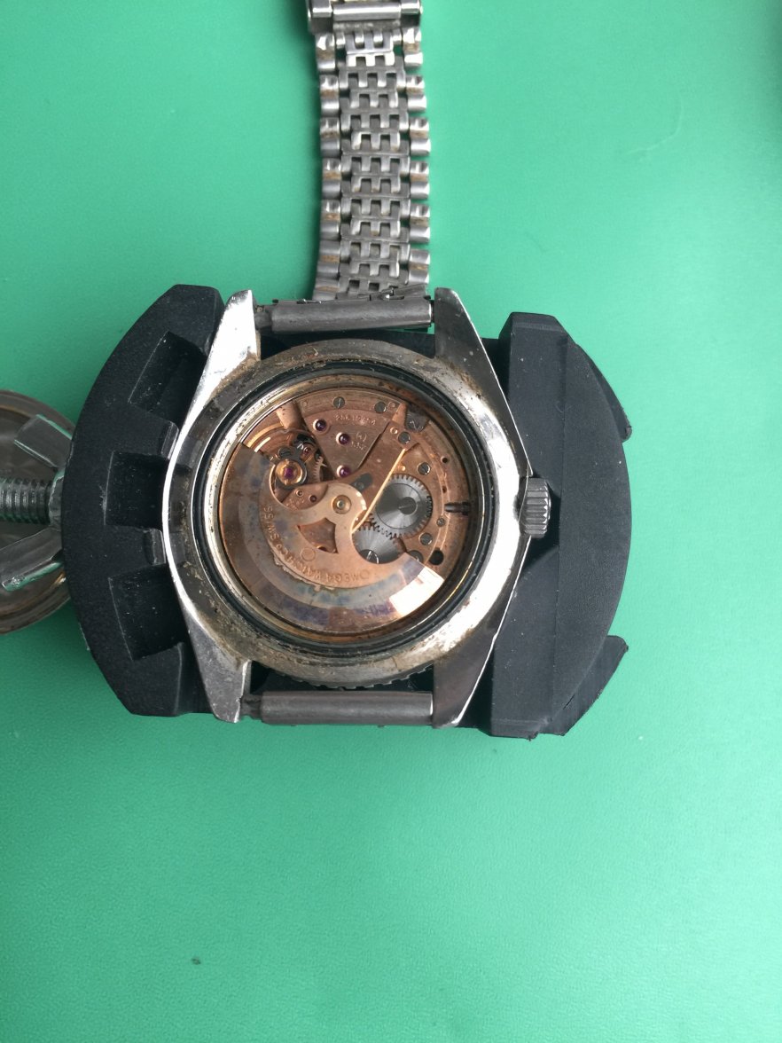 2919D3B9-1F16-4B50-A023-9C7261DF3B00.jpeg 2919D3B9-1F16-4B50-A023-9C7261DF3B00.jpeg