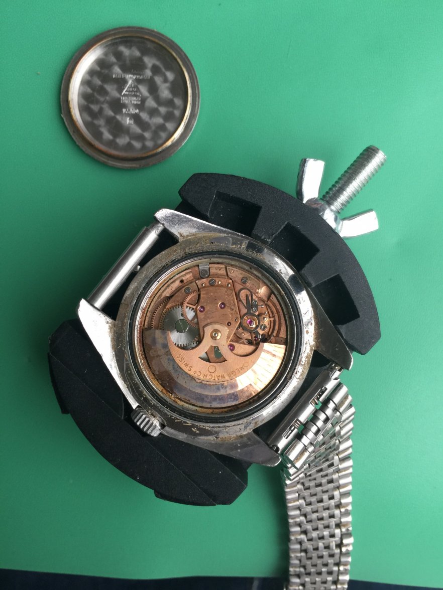 EA12F15E-8790-4762-BAD3-020B98E40947.jpeg EA12F15E-8790-4762-BAD3-020B98E40947.jpeg