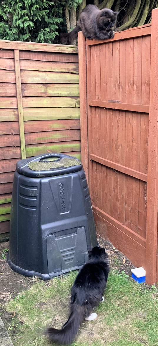 Romeo and Juliet  - Copy.jpg