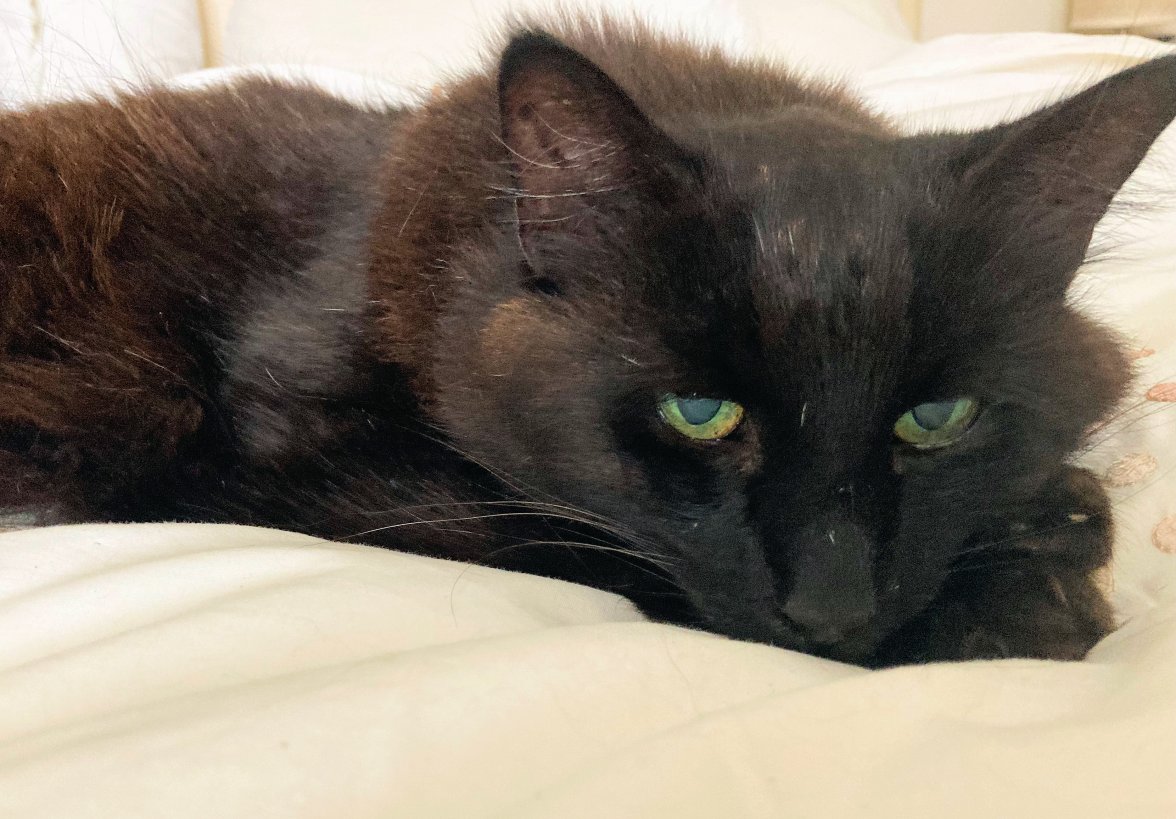 Deep thought - Copy.jpg