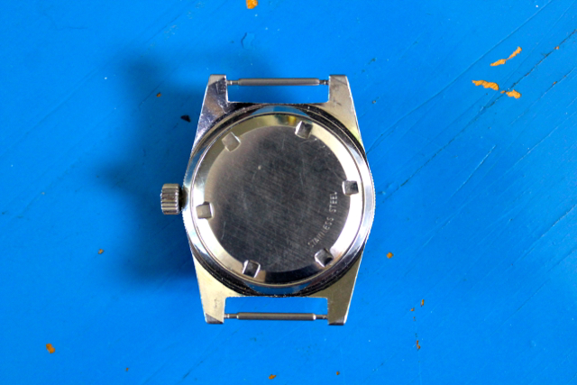 wittback.jpg wittback.jpg