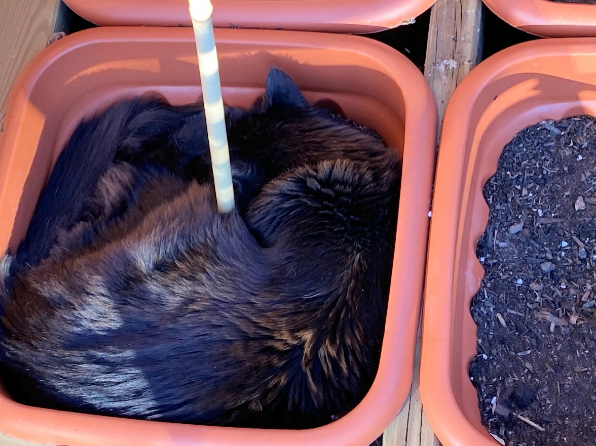 Pot war 2s - Copy.jpg