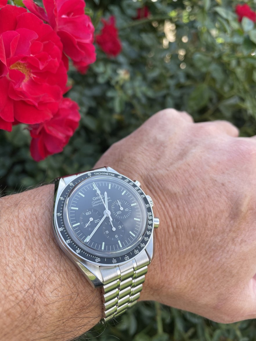 61F2E2EC-73A9-45B8-857A-78677DC9F791.jpeg 61F2E2EC-73A9-45B8-857A-78677DC9F791.jpeg