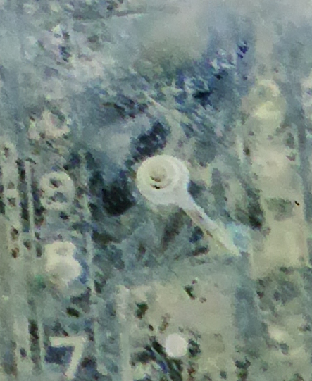 03 - Copy.jpg