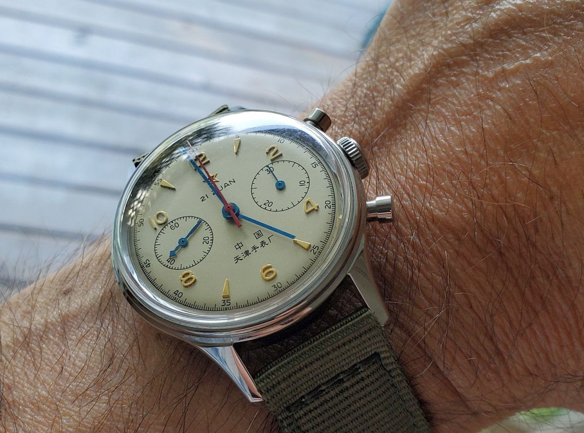 Seagull ws 1b 20210927_165911.jpg