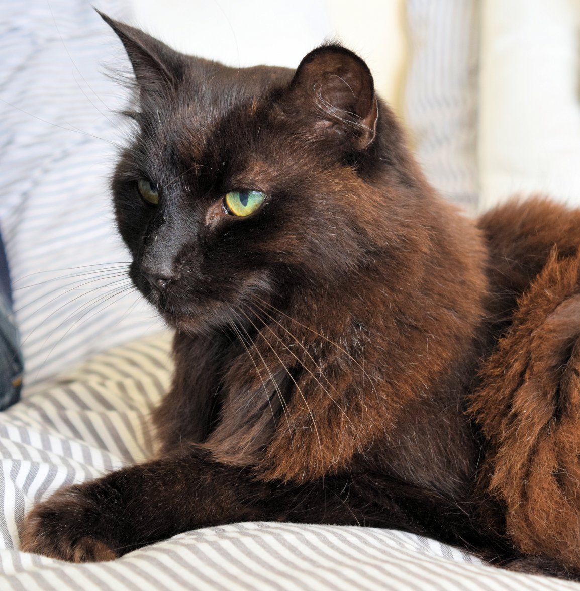 Relax 01s - Copy.jpg