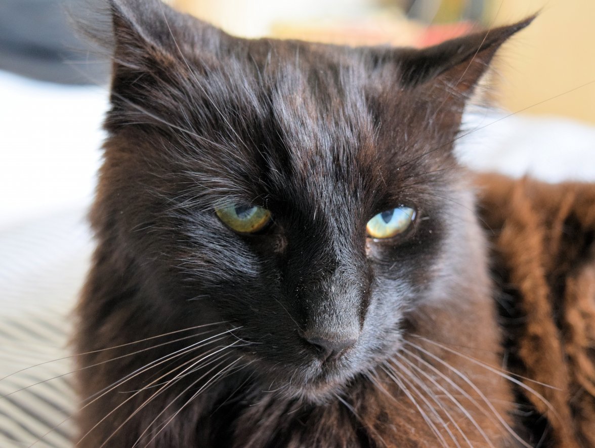 Relax 03s - Copy.jpg