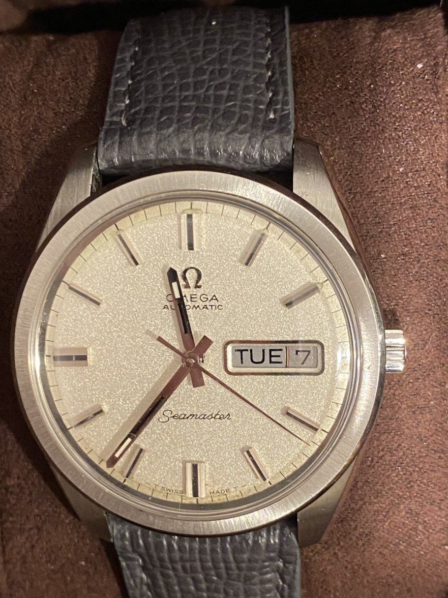 IMG_4818.jpeg IMG_4818.jpeg