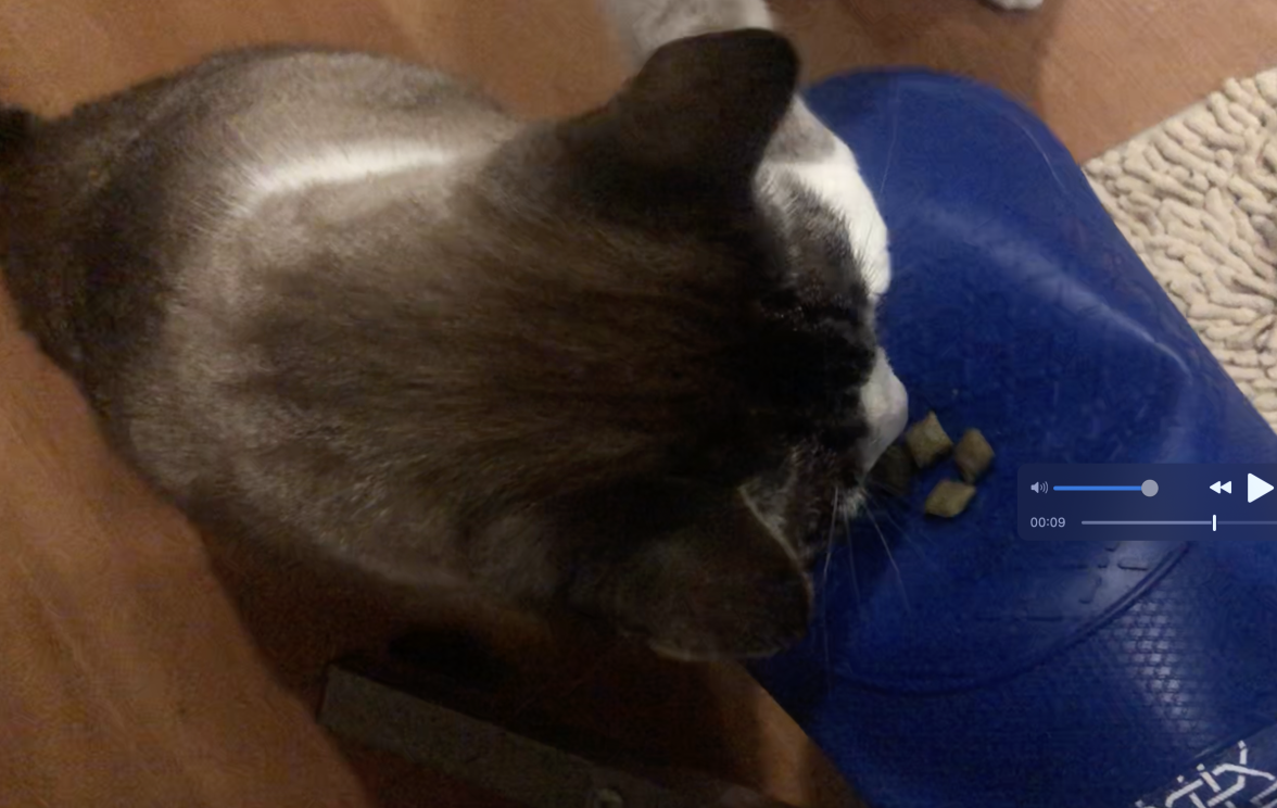 Screen Shot 2021-10-07 at 8.43.19 PM.png